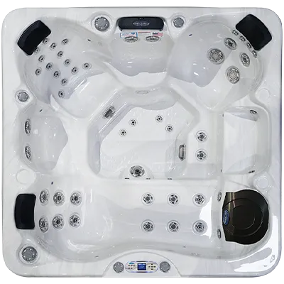 Avalon EC-849L hot tubs for sale in Fort Myers